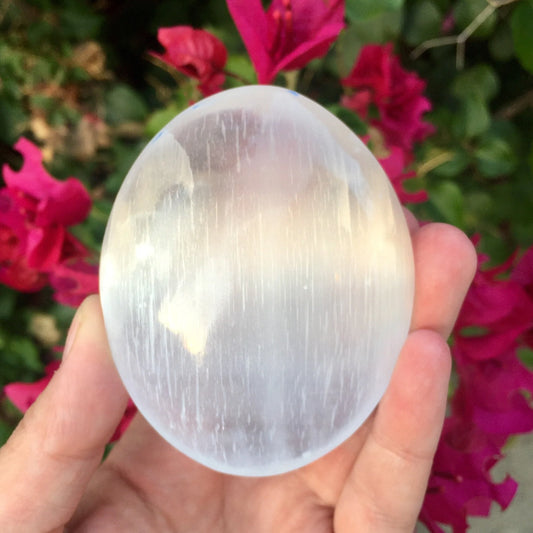 Selenite Palm