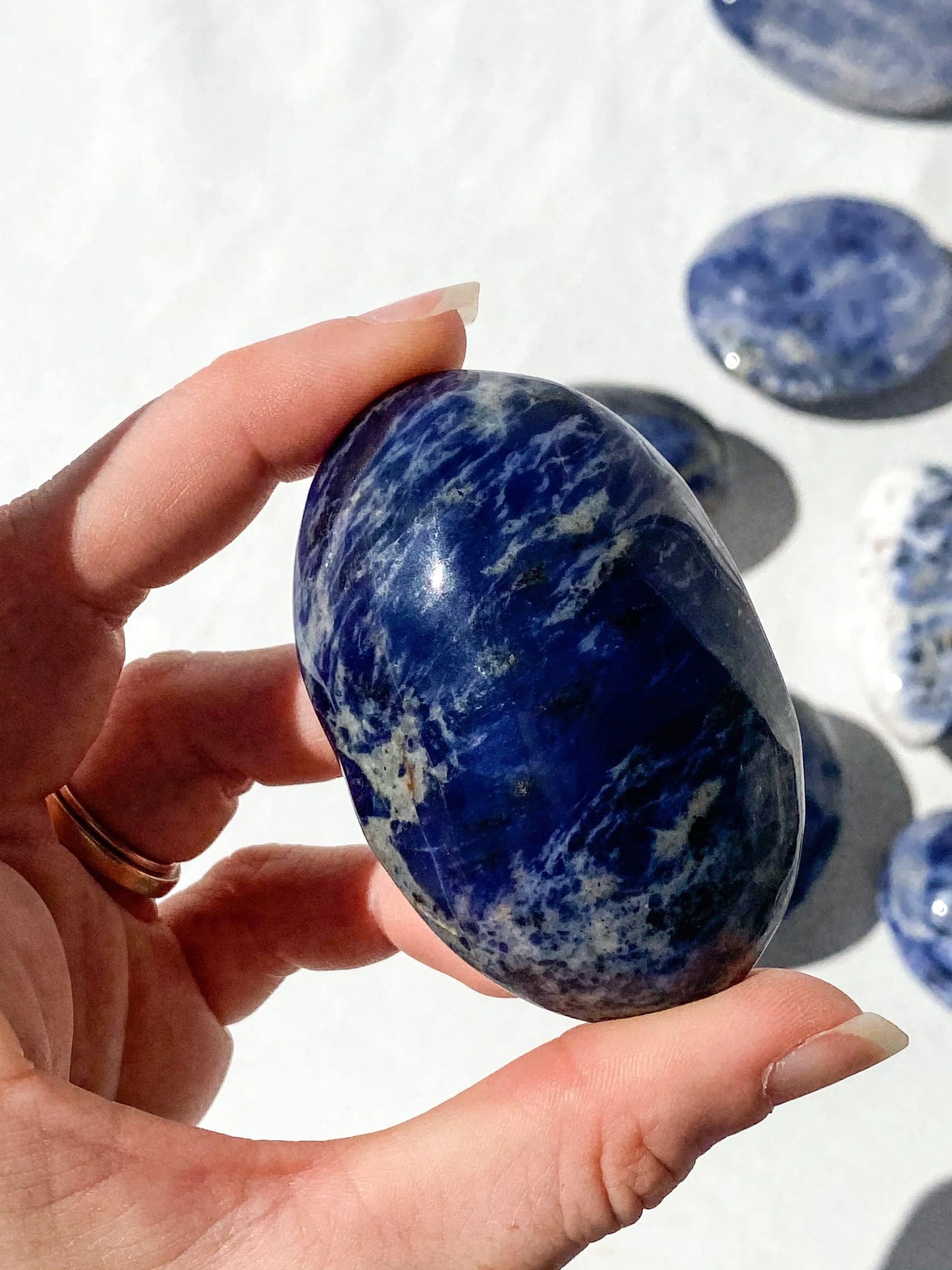 Sodalite Palm