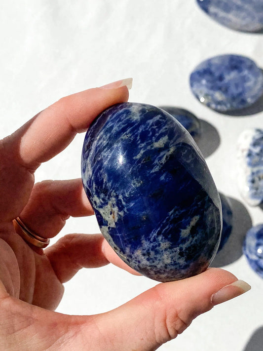 Sodalite Palm