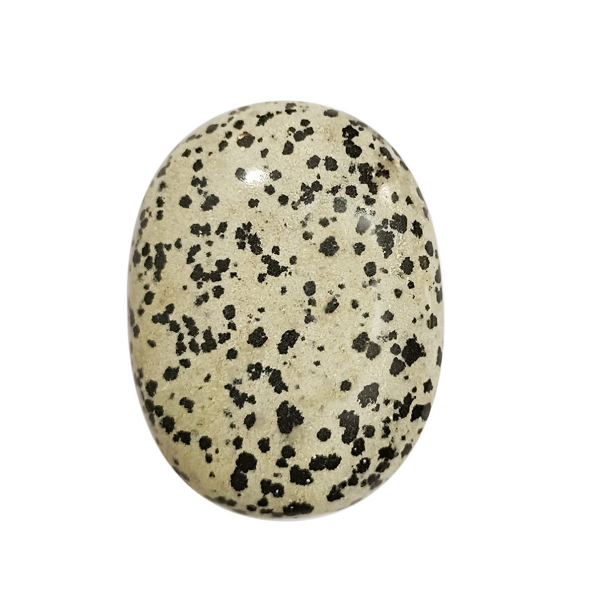 Dalmation Jasper Palm